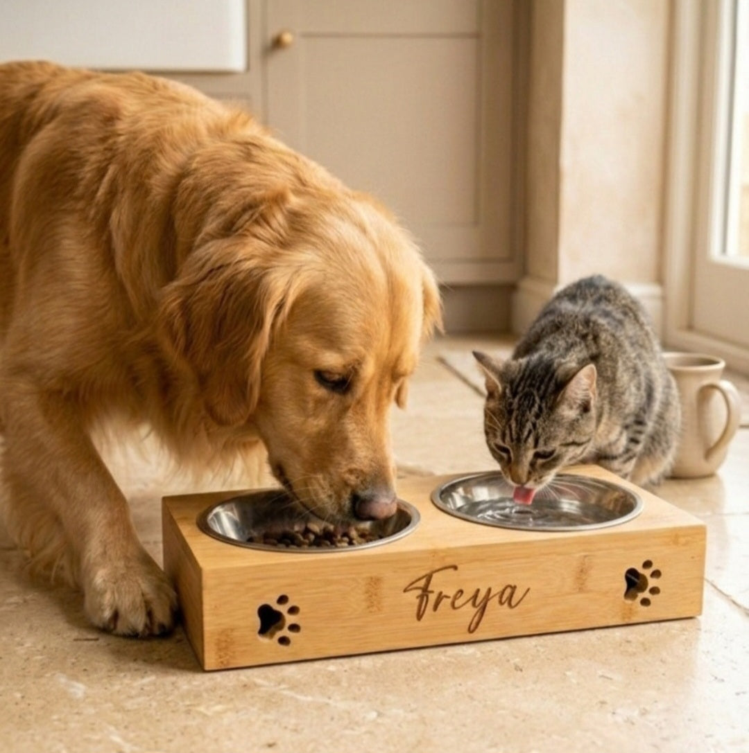 Personalisierter Futternapf